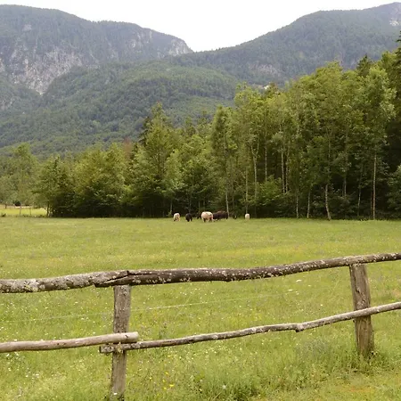 Meznar's Beautiful Nature House Ukanc Lägenhet Bohinj