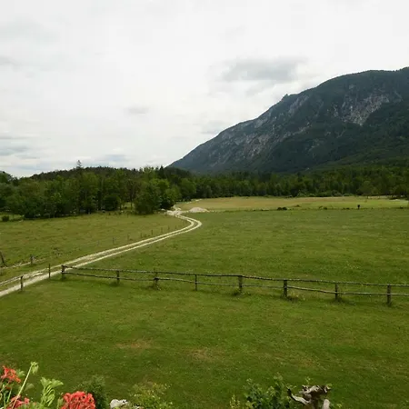 Meznar's Beautiful Nature House Ukanc Apartmán Bohinj